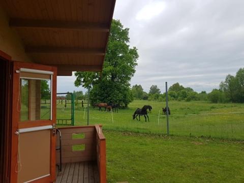 Willa Ranczo Drażniew Zewnętrze zdjęcie